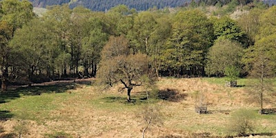 Wildlife Weans Mugdock: Den Building (1-6yr olds) primary image