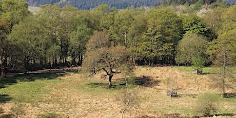 Wildlife Weans Mugdock: Den Building (1-6yr olds)