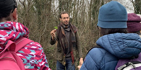 Wild Forage with Grow, Cook and Eat Lawrence Weston at Kingsweston House