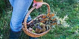 Wild Forage with Grow, Cook and Eat Lawrence Weston primary image