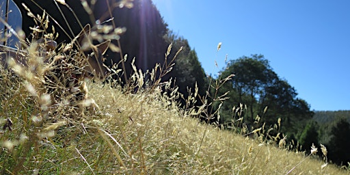 Hauptbild für Hidden Valley Workshops: Introduction to Sustainable Living