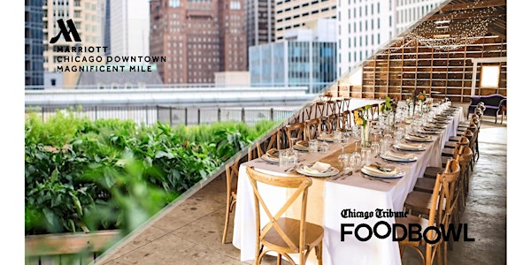 Chicago Tribune Food Bowl Rooftop Dinner with Heritage Prairie Farms