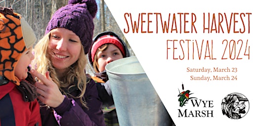 Immagine principale di Sweetwater Harvest Festival 2024 