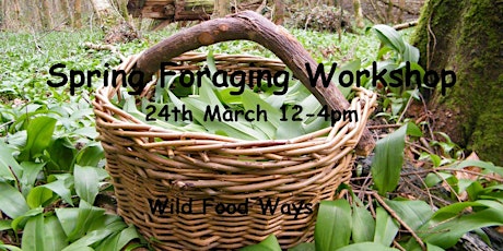 Spring foraging workshop primary image