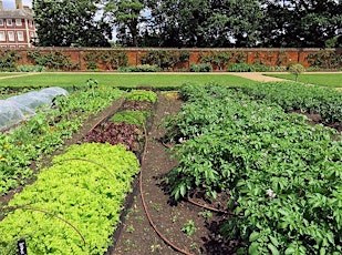 Vegetable Gardening Class (Randleman Library)