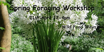 Imagem principal do evento Spring foraging workshop