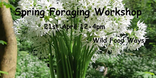 Spring foraging workshop primary image