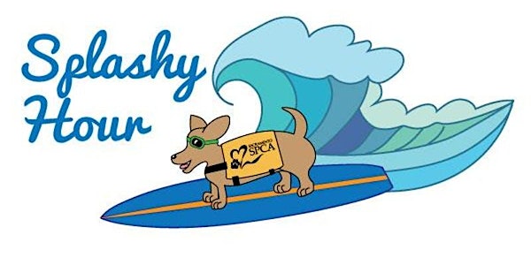August SSPCA Splashy Hour @ The Animal Den!