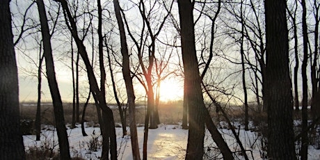 Hauptbild für A Winter Solstice Celebration Hike at Deer Grove West!