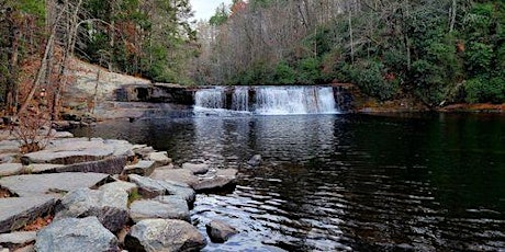 North Carolina-52 Hikes Challenge SC-Hunger Games Hike Dupont Forest primary image
