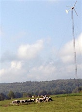 Managing Pasture, Haylage, and Marketing of Holstein Beef at Snug Valley Farm primary image