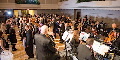 Austrian Embassy Viennese Ball: A Night in Vienna, Live Orchestra, Dancing primary image