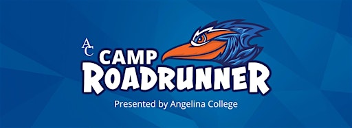 Collection image for Camp Roadrunner
