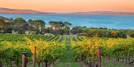 Wine Class: The Wines of Australia