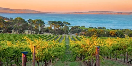 Image principale de Wine Class: The Wines of Australia