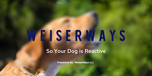 So Your Dog is Reactive primary image
