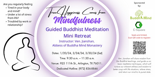 Primaire afbeelding van Buddhist Guided Meditation Mini Retreat