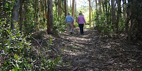 Explore Ennisbrook Open Space!