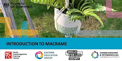 Macrame for NEW STUDENTS ONLY with Multiply primary image