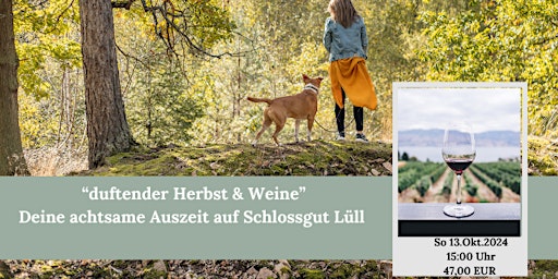 Immagine principale di “duftender Herbst & Weine” Deine achtsame Auszeit auf Schlossgut Lüll 