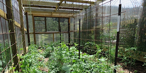 Hidden Valley Workshops: Polytunnel and Greenhouse Growing primary image