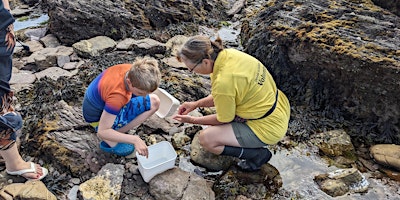 Image principale de Rockpool Safari