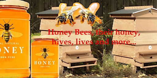 Imagem principal do evento Honey Bees, Honey,  Hives, their Lives  and More..