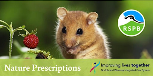 Norfolk and Waveney Nature Prescription Training primary image