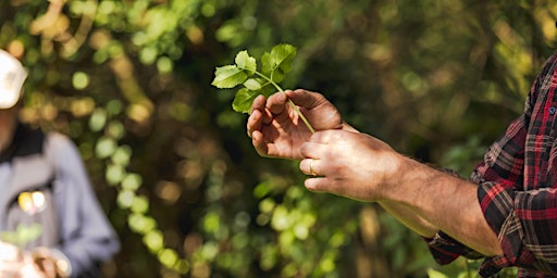 TASTER Foraging Workshop in Altrincham  primärbild