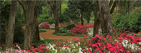 Saturday in the Gardens:  Flowering Trees and Shrubs primary image