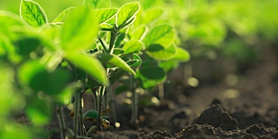 Agricultural Harvest Showcase primary image