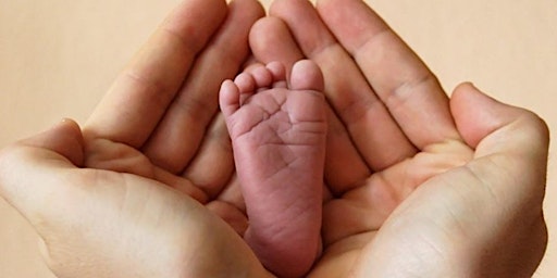 Imagem principal de Neonatal Care Conference 2024