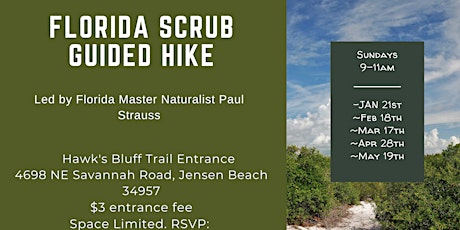 Florida Scrub Hike