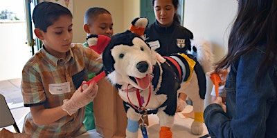 Imagem principal do evento Pet CPR & Safety (for Teens!)