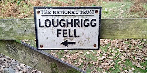 Hauptbild für Wednesday Wainwright – Loughrigg Fell (335m)
