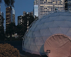 MORPHOS - Immersive Video Dome Art • Los Angeles primary image