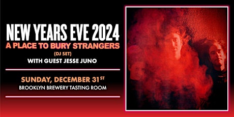 Imagen principal de New Years Eve with A Place To Bury Strangers [DJ set]