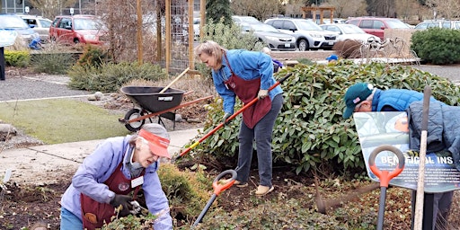 Immagine principale di Cesar Chavez Day Service Event at Pacific Park Natural Demonstration Garden 