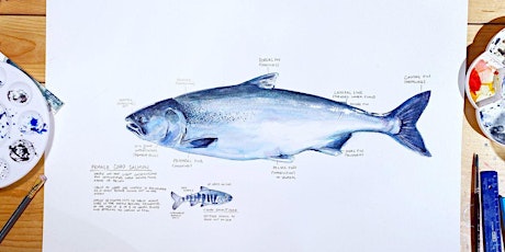 Primaire afbeelding van Salmon Studies in Watercolour