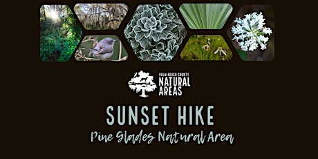 Adventure Awaits - Sunset Hike at Pine Glades Natural Area primary image