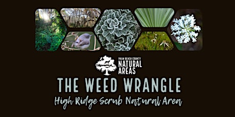 Adventure Awaits - Weed Wrangle at High Ridge Scrub Natural Area primary image