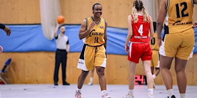 Thames Valley v CoLA Southwark Pride - WNBL Division One Playoff Semi Final primary image