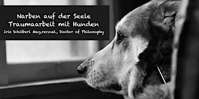 Imagem principal de ONLINE Narben auf der Seele - Traumaarbeit bei Hunden