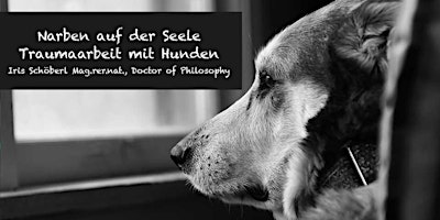 Image principale de ONLINE Narben auf der Seele - Traumaarbeit bei Hunden