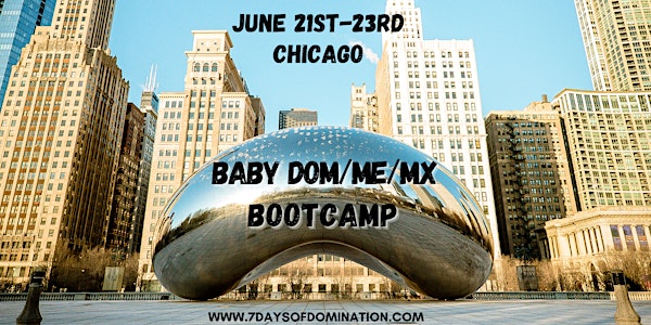 Baby Dom/me/mx Bootcamp: CHICAGO