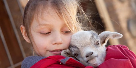 Hauptbild für Baby Goat Snuggle Session
