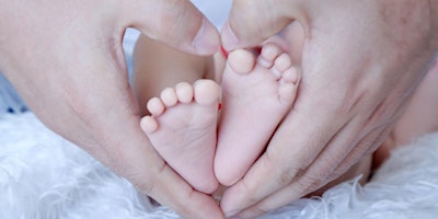 Immagine principale di Midwifery Seminar 