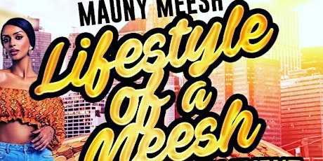 Lifestyle Of A Meesh primary image