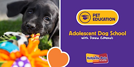 Hauptbild für Adolescent Dog School 2024 - 4 week course