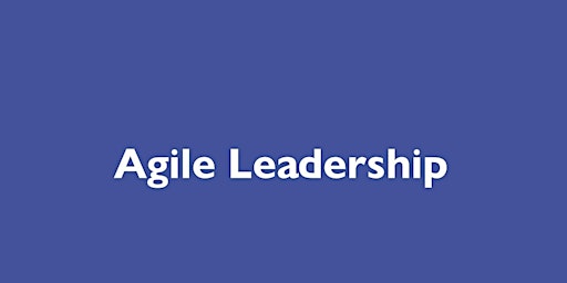 Primaire afbeelding van agile leadership